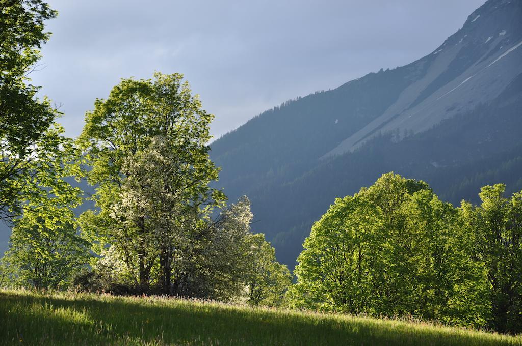 Apartmenthaus Dornroeschen Ramsau am Dachstein Zewnętrze zdjęcie